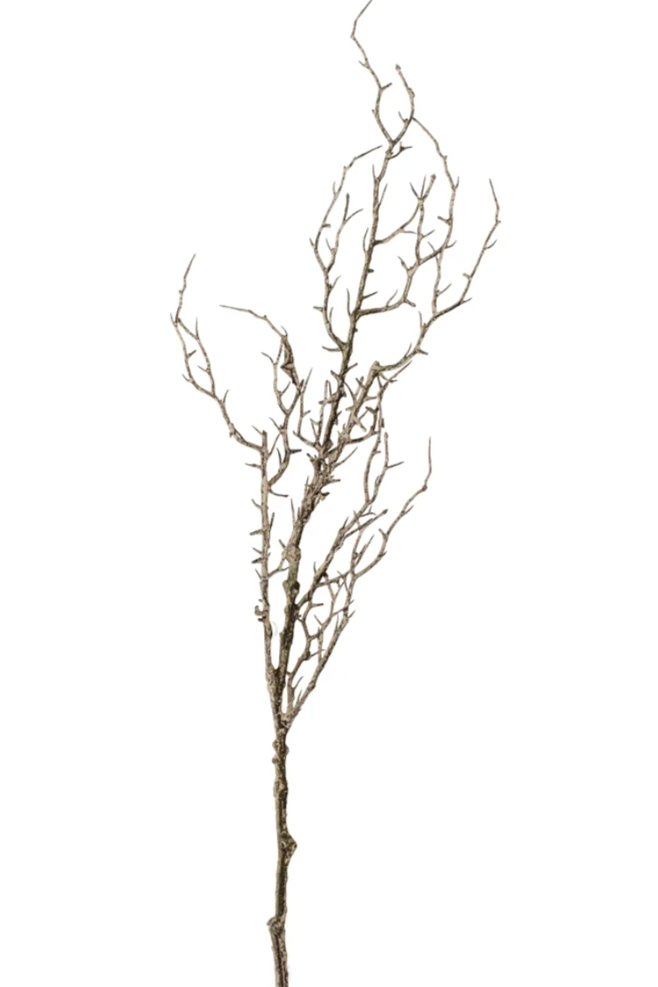 Faux Hawthorn Branch