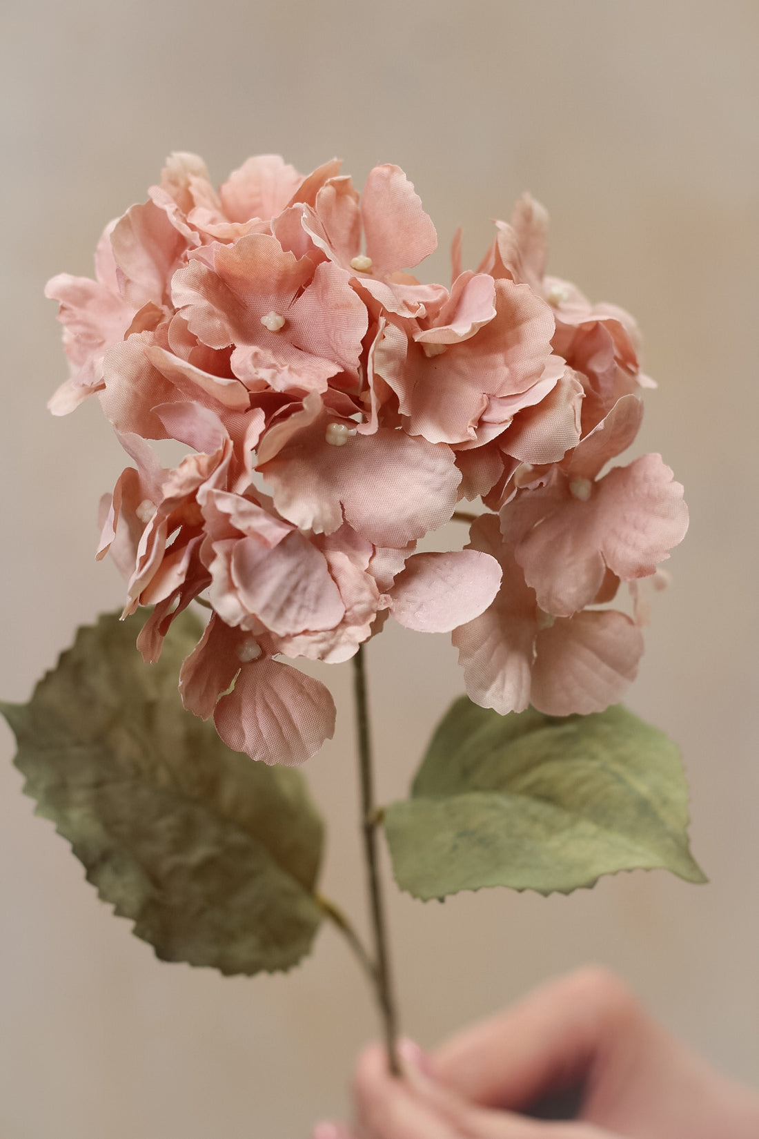 Faux Muted Blush Hydrangea Stem