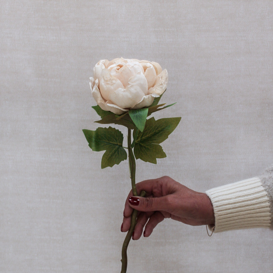 Faux Nude Dried Closed Peony Stem