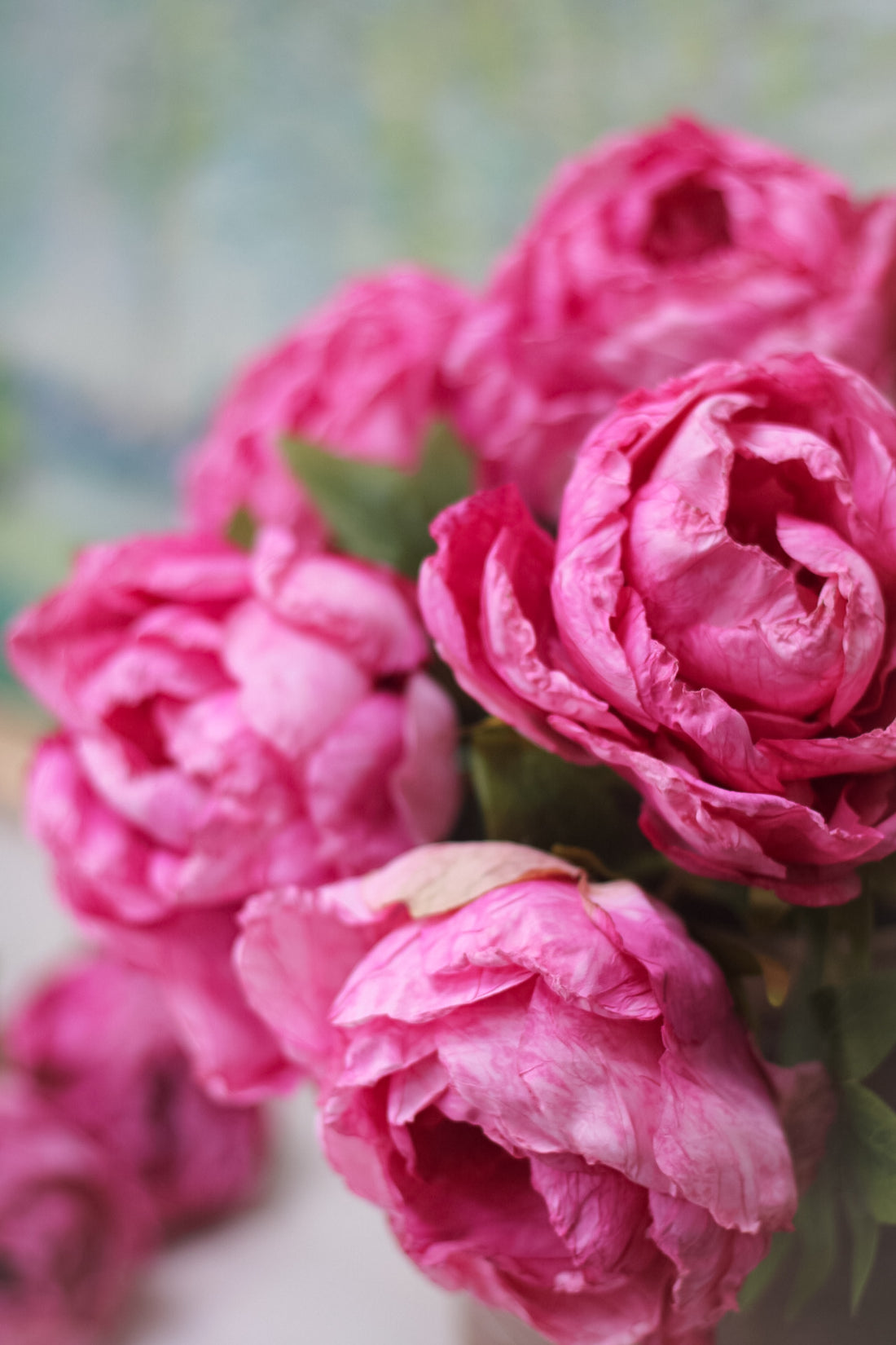 Faux Pink Dried Closed Peony Stem