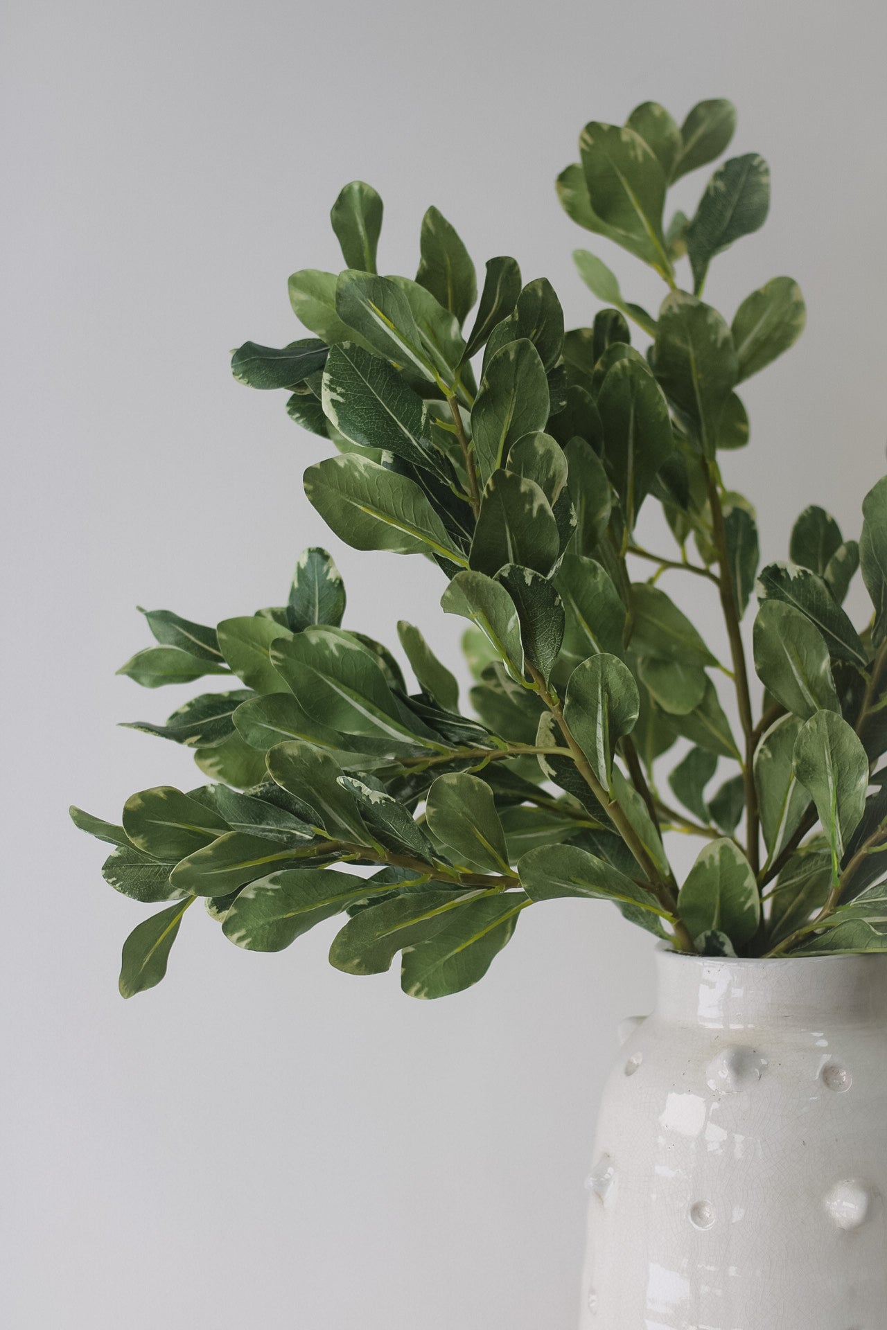 Faux Pittosporum Leaf Spray