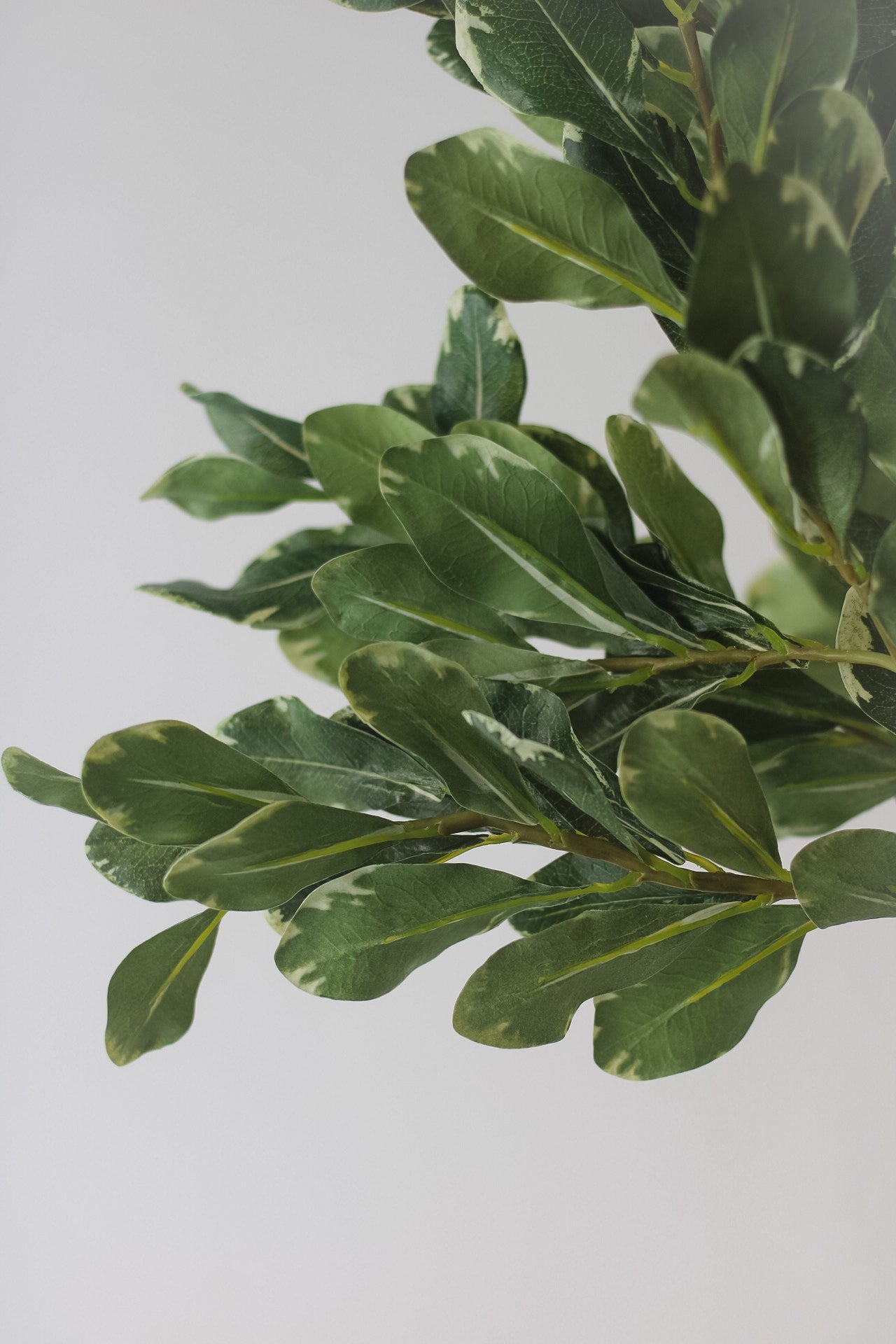 Faux Pittosporum Leaf Spray