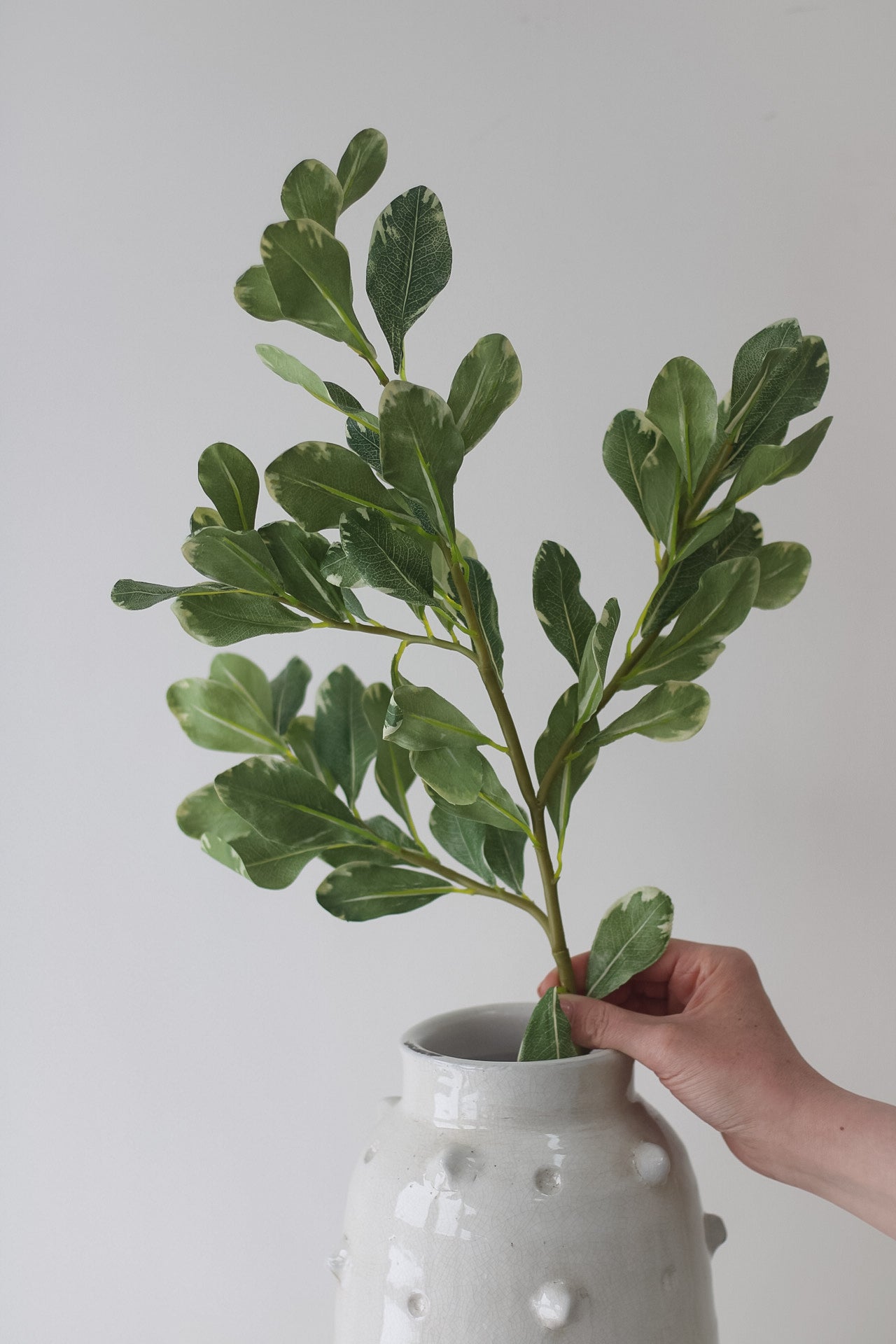 Faux Pittosporum Leaf Spray