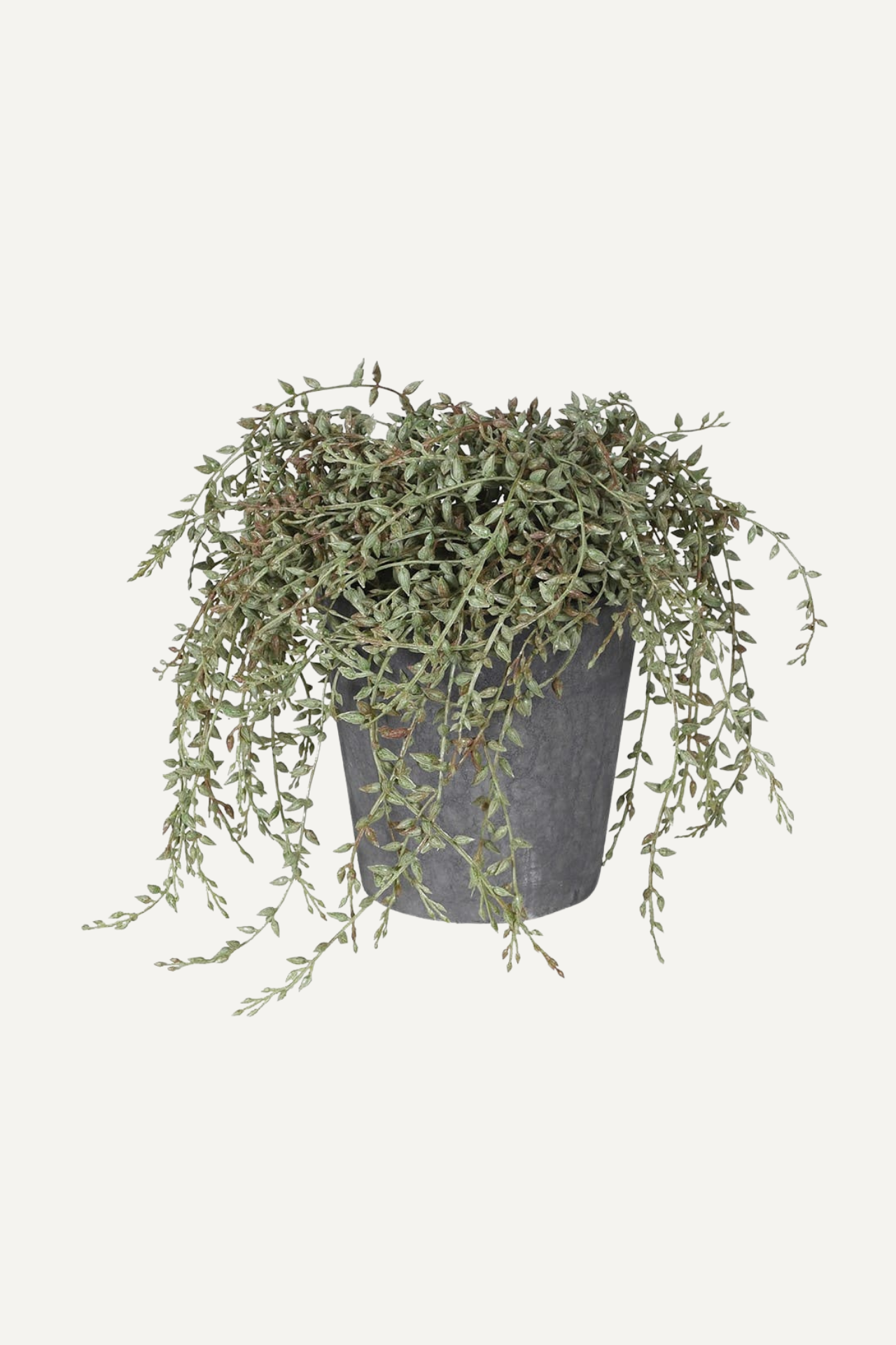 Faux Potted Grey Senecio Plant for home decor and shelf styling