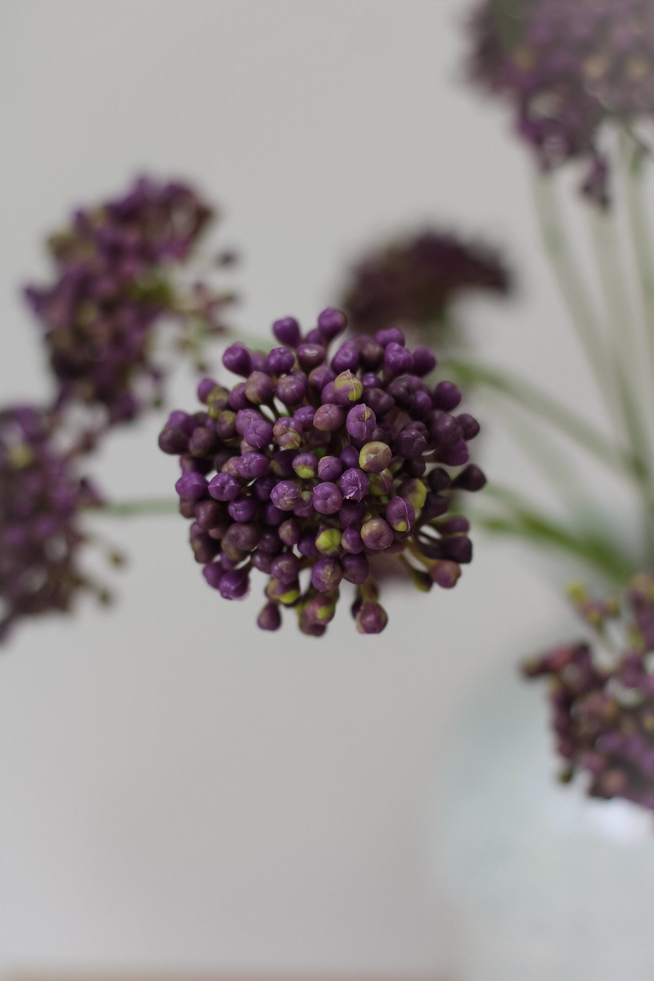 Faux Purple Seeded Allium Spray