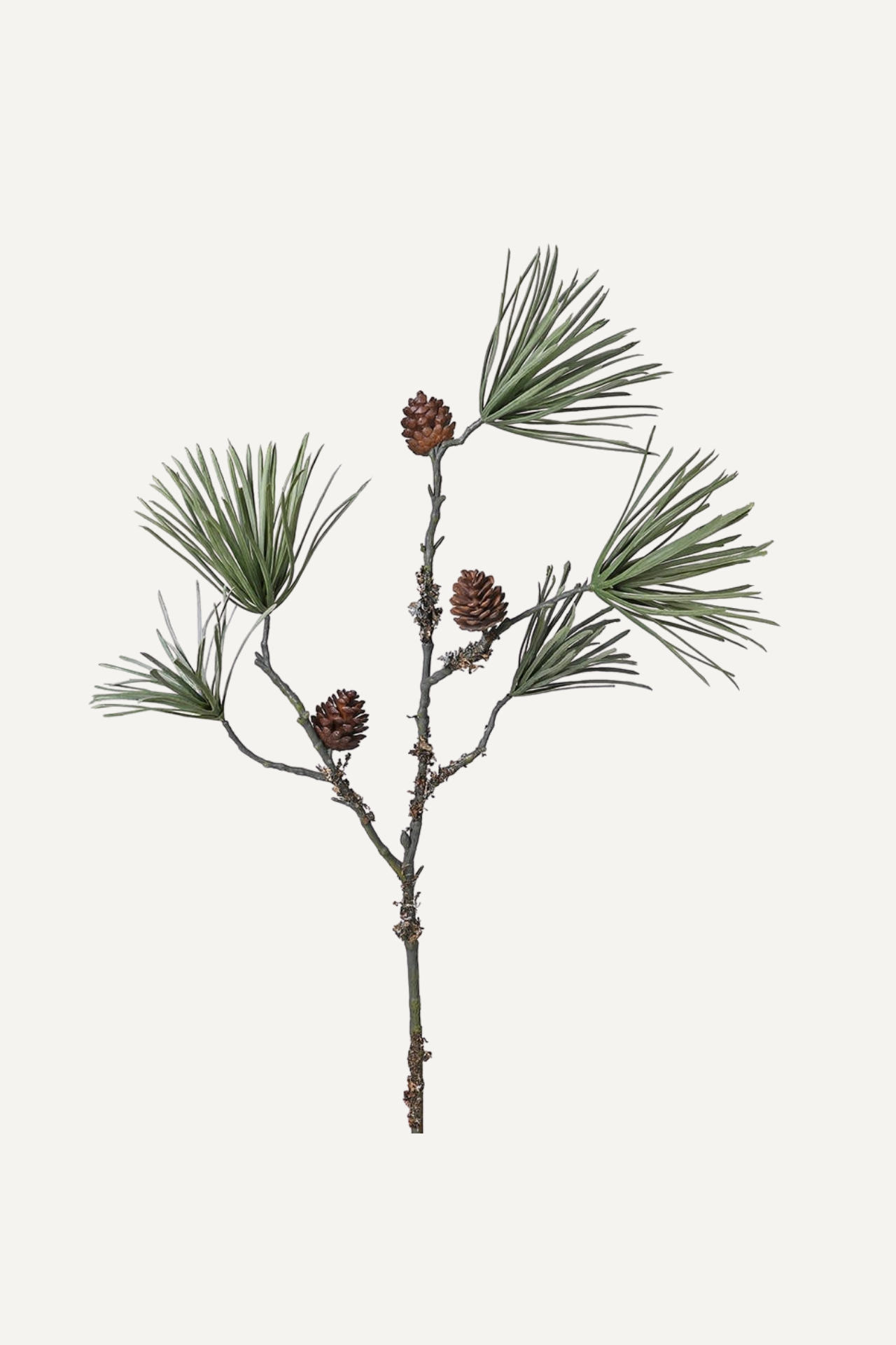 Faux Scots Pine with Pinecones Stem