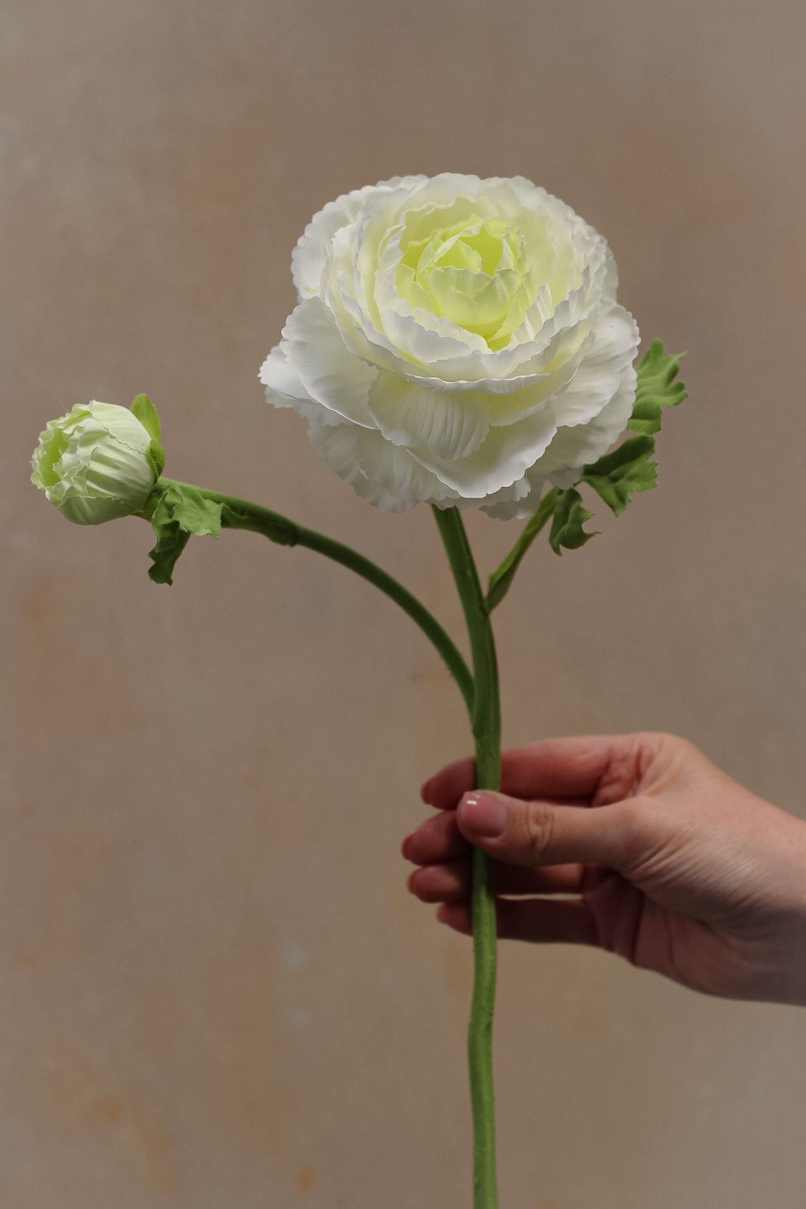 Faux White Ranunculus Spray