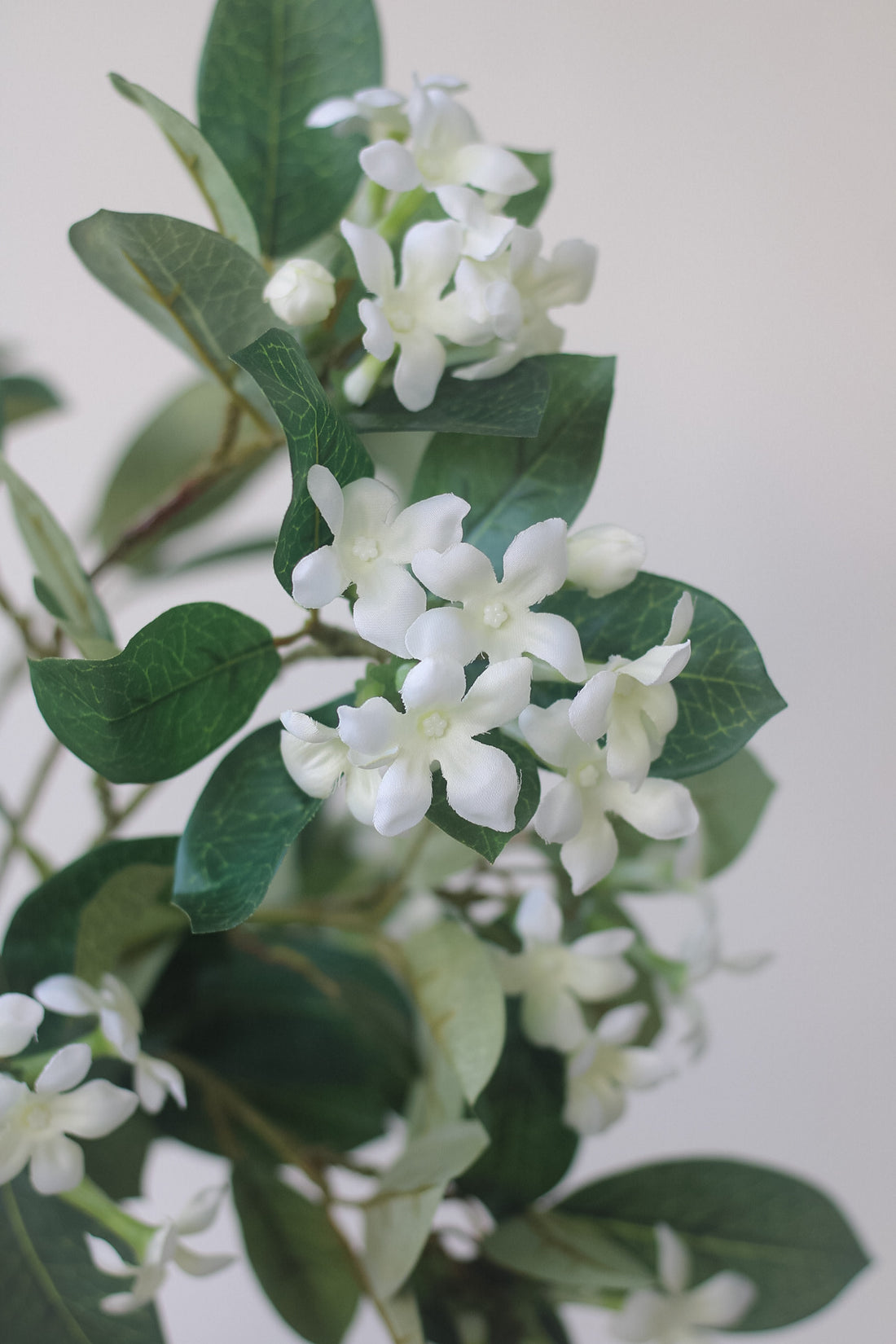 Faux White Stephanotis Stem