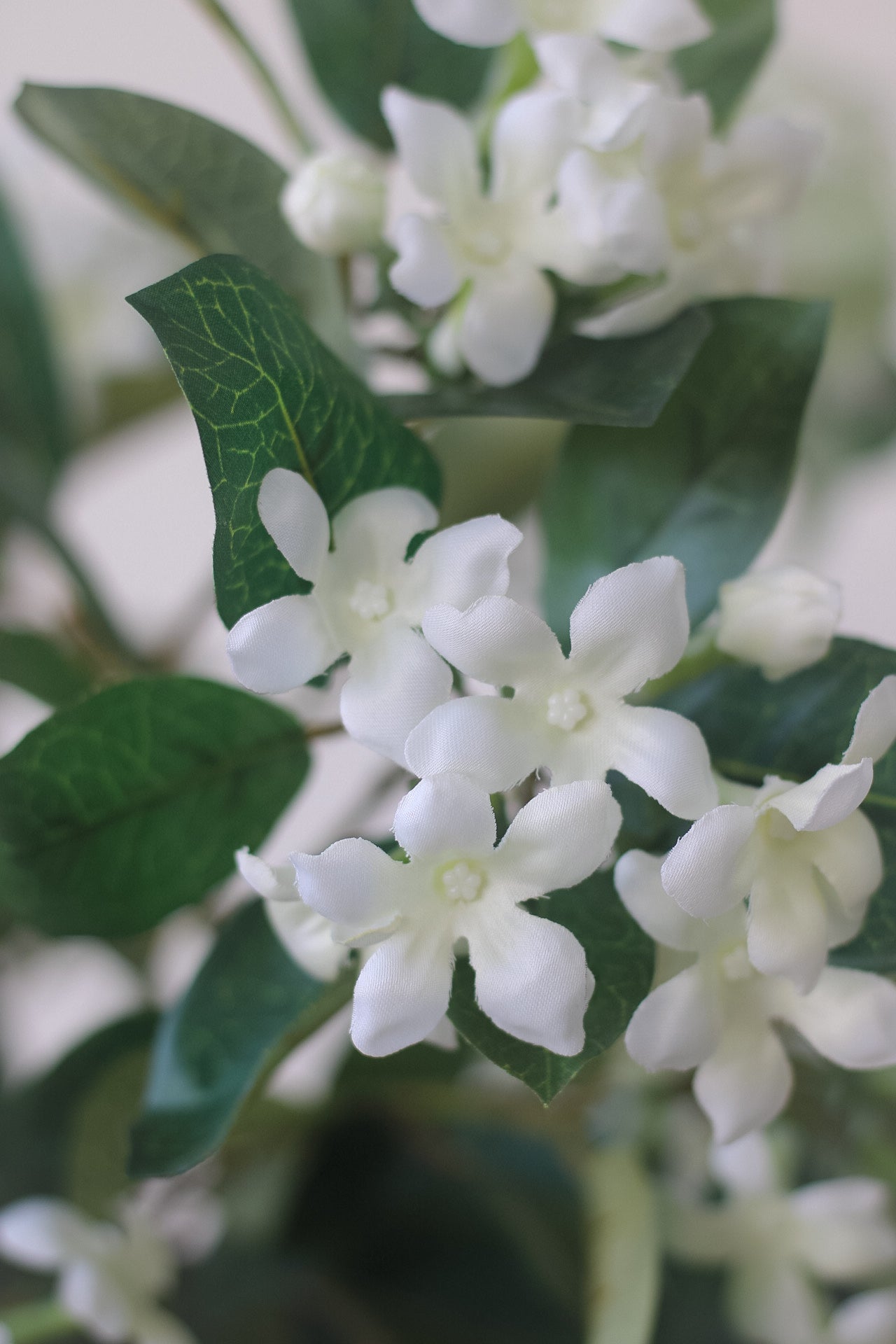 Faux White Stephanotis Stem