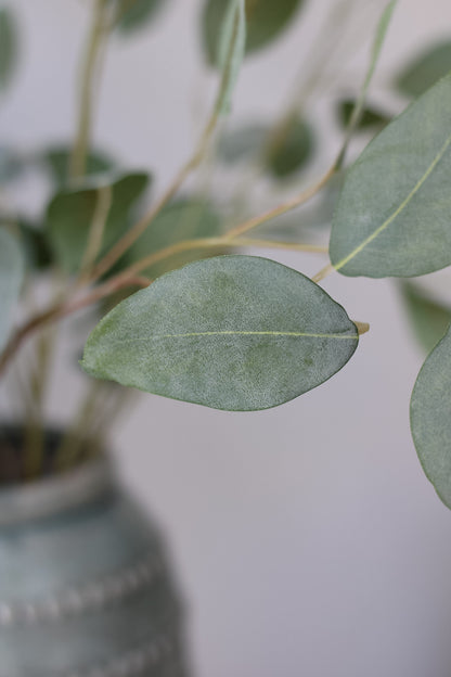 Close up of faux eucalyptus leaves