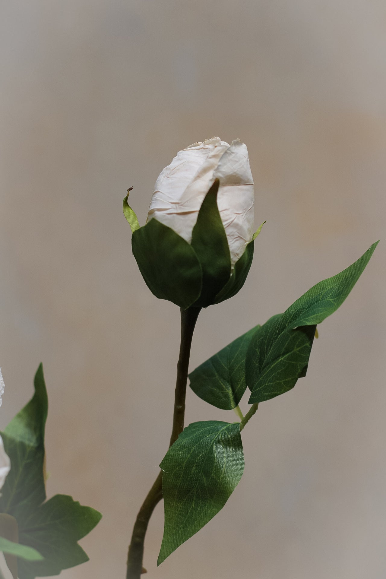 Faux nude bud peony stem