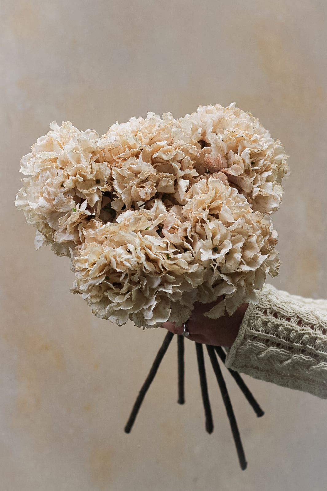 Faux nude dried ruffle hydrangeas