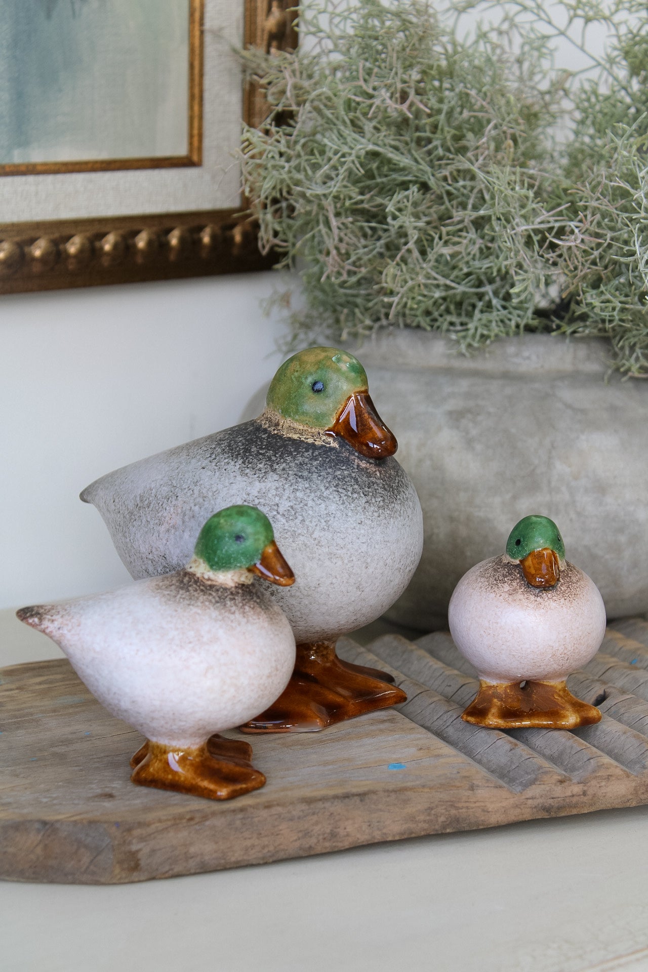 Green and White Speckled Fat Ducks