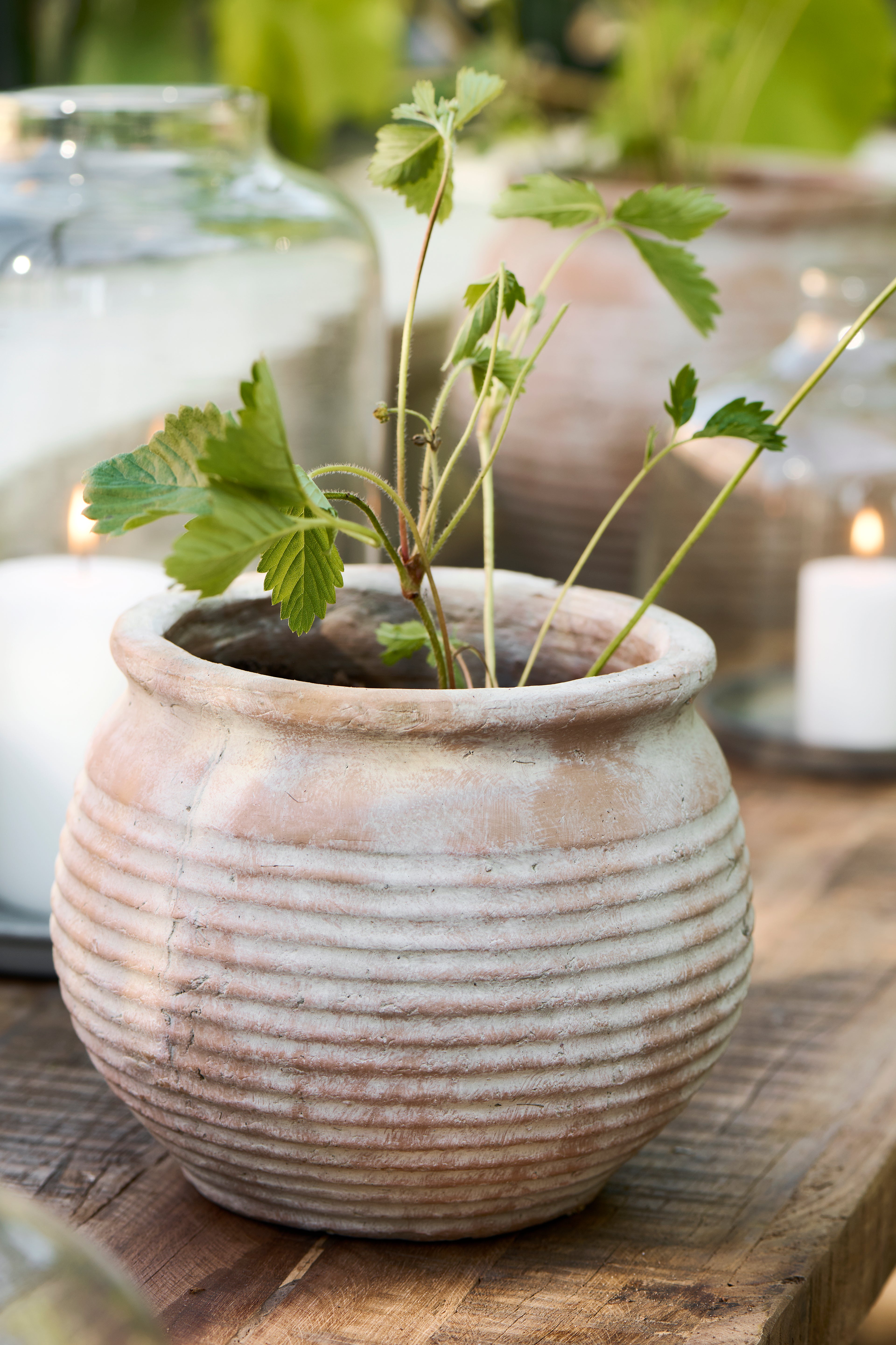 Grooved Terracotta Planter