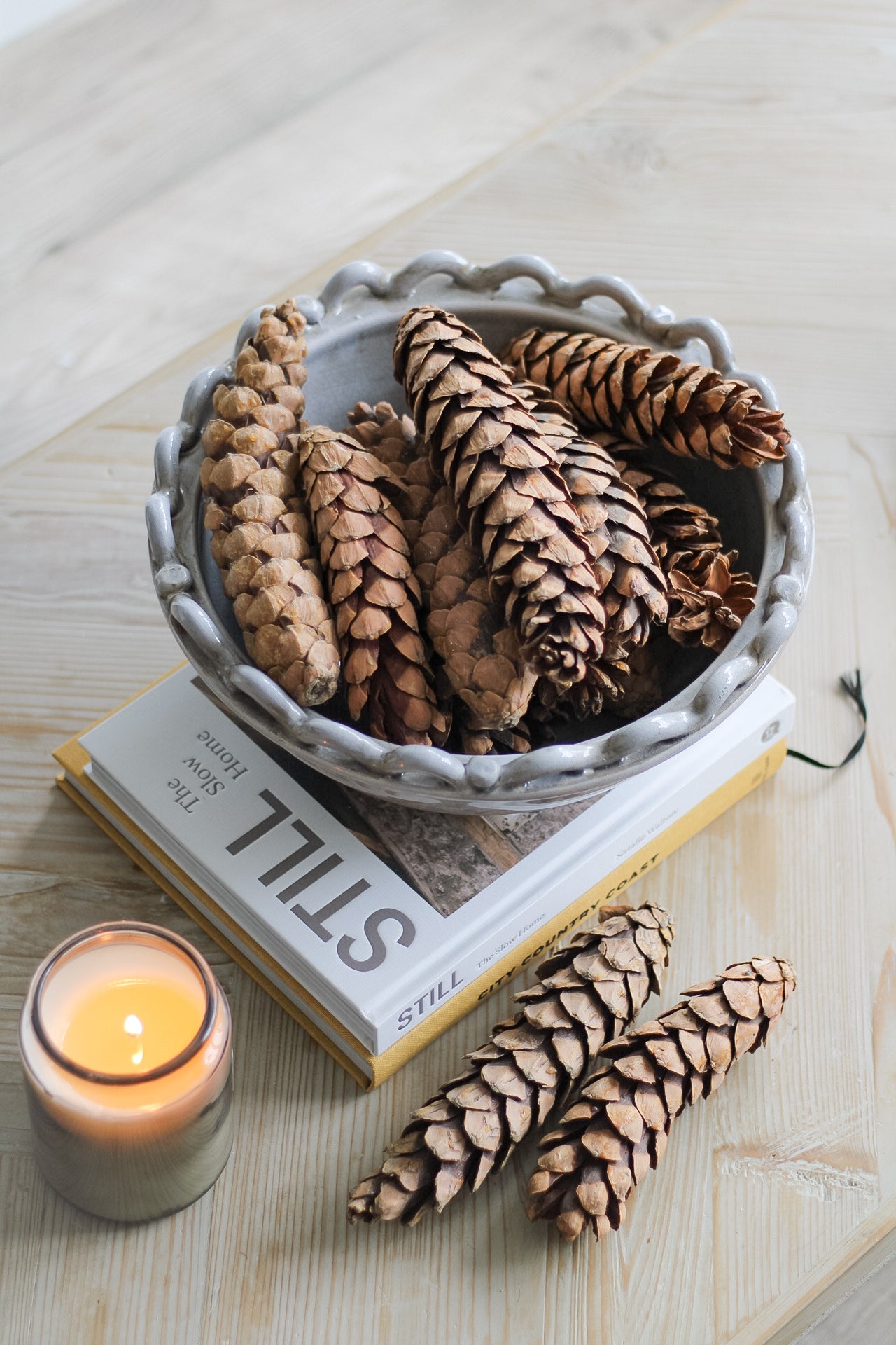 Large Natural Strobus Pine Cones | Bag of 12