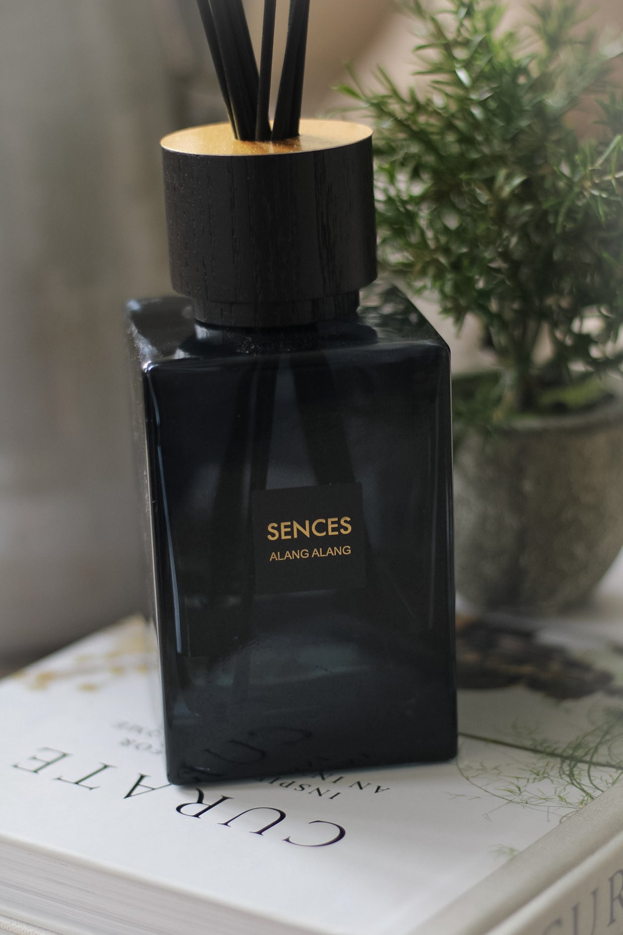 close up of Onyx Sences Alang Alang Reed Diffuser on coffee table book