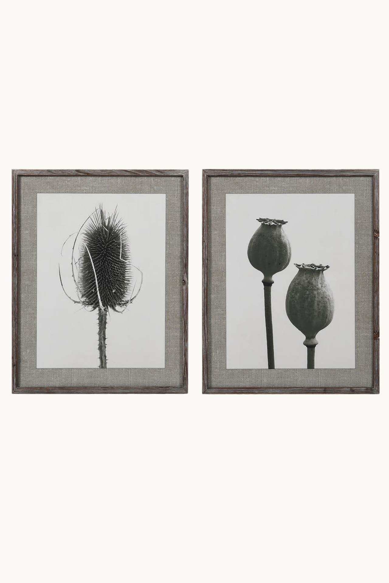 Poppy and Teasel Floral Framed Prints | Set of 2