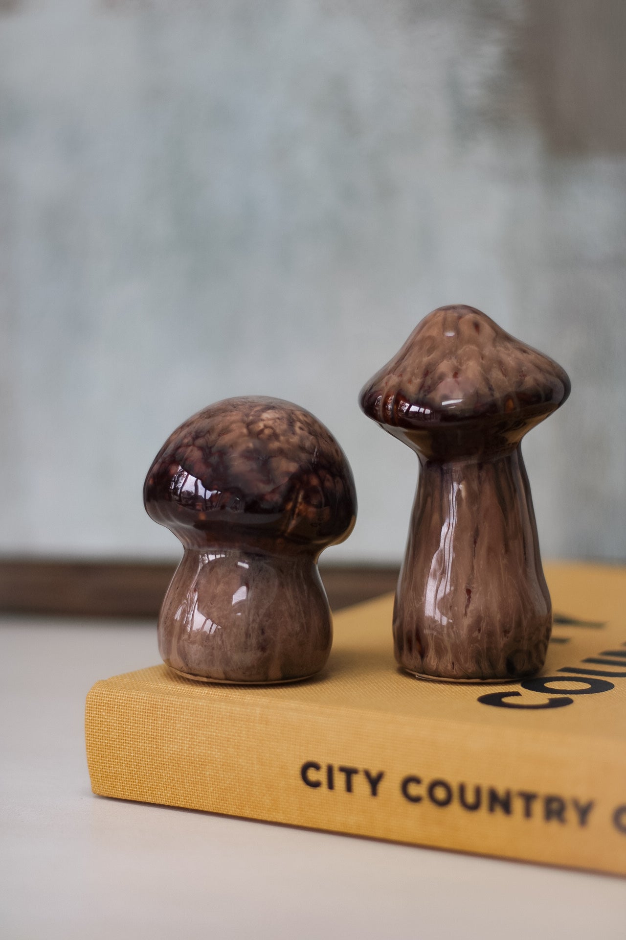 Rich Brown Porcelain Mushrooms 002