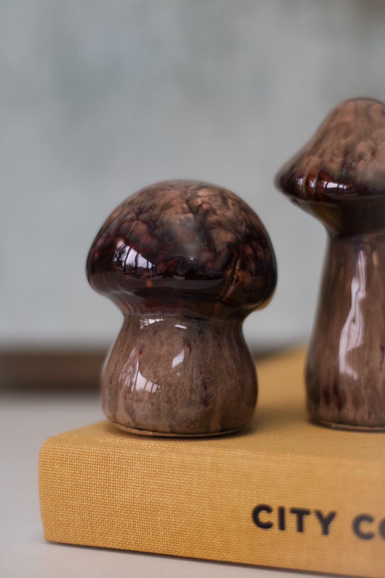 Rich Brown Porcelain Mushrooms 004