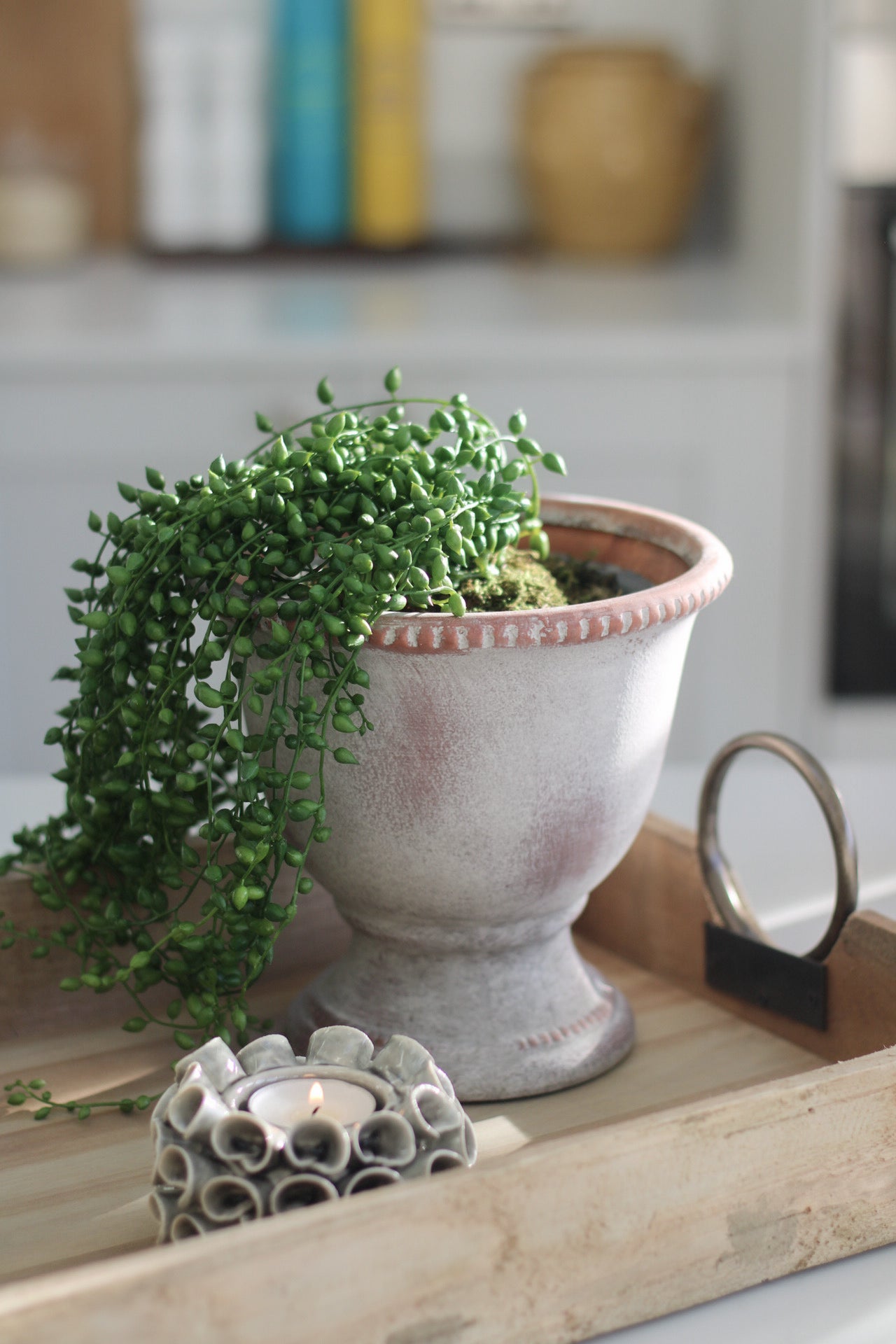 Rustic Urn Pot for home decor