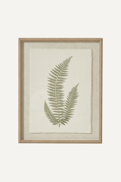 Fern Wall Art in Natural Beaded Frame