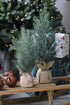 Tabletop frosted faux pine tree for christmas decor