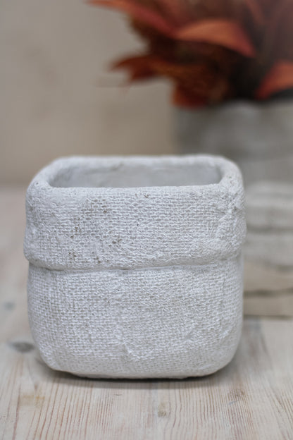 Textured Cement Flower Pot Planter