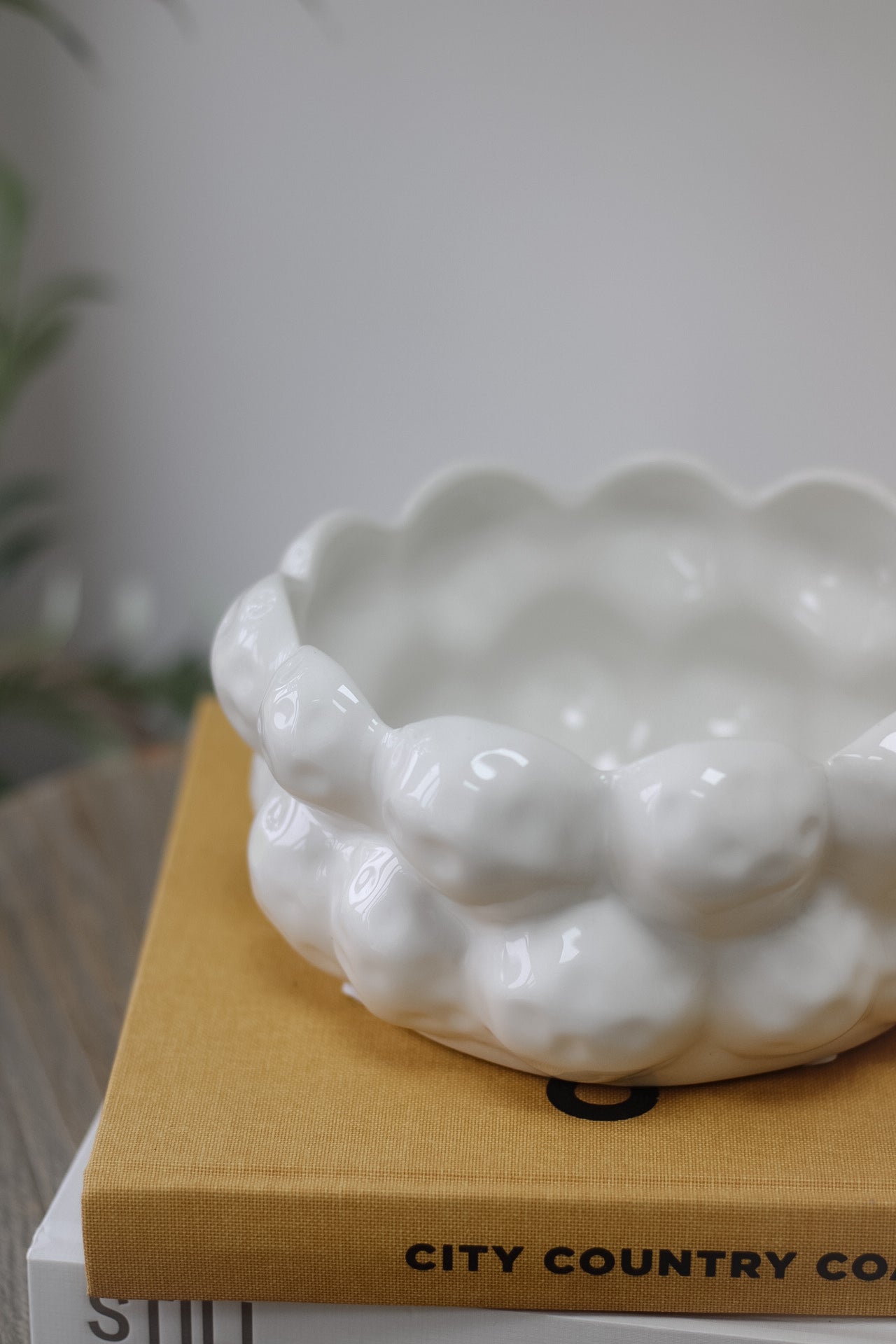 White Ceramic Snowball Planter 005