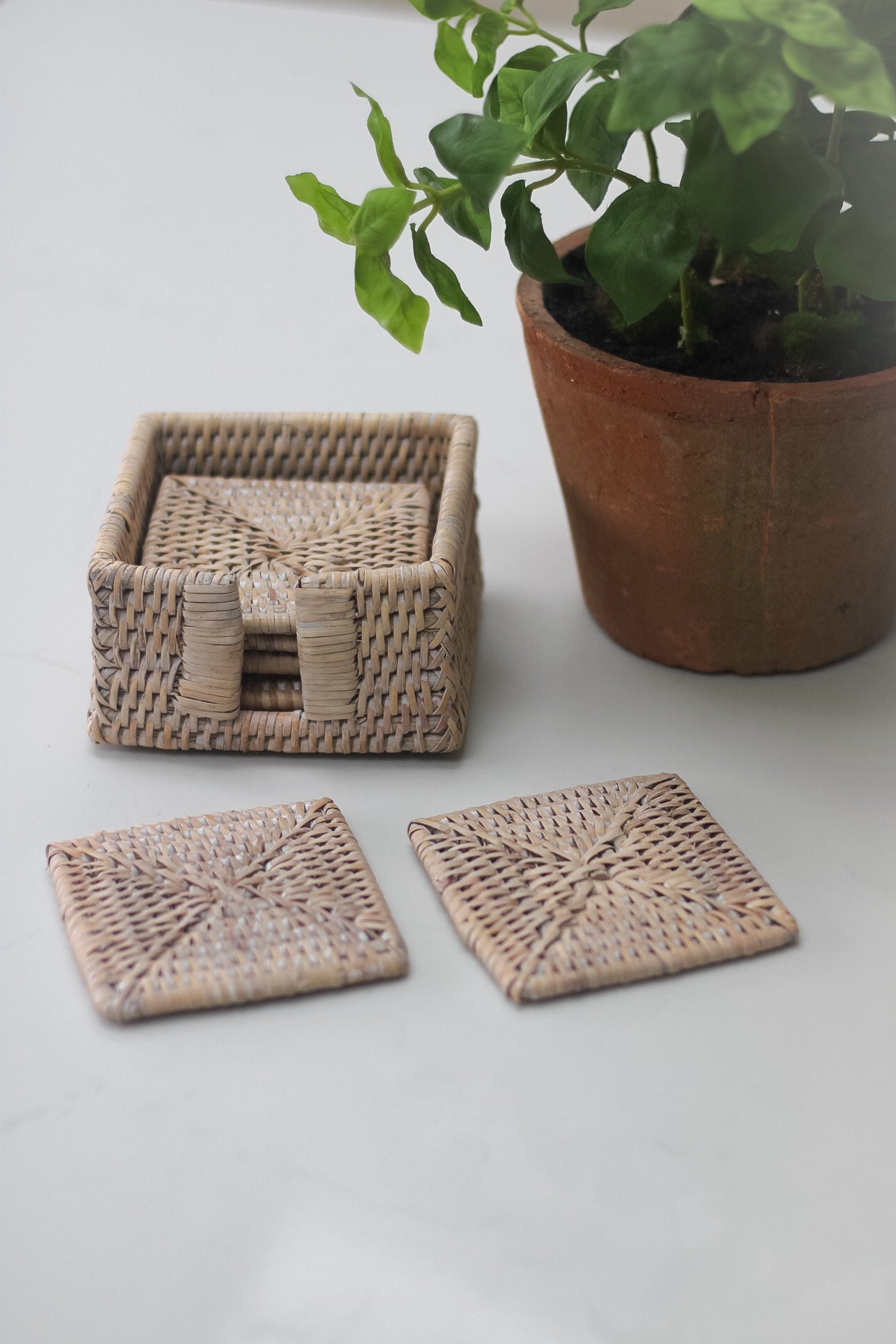 Whitewashed Square Rattan Coasters