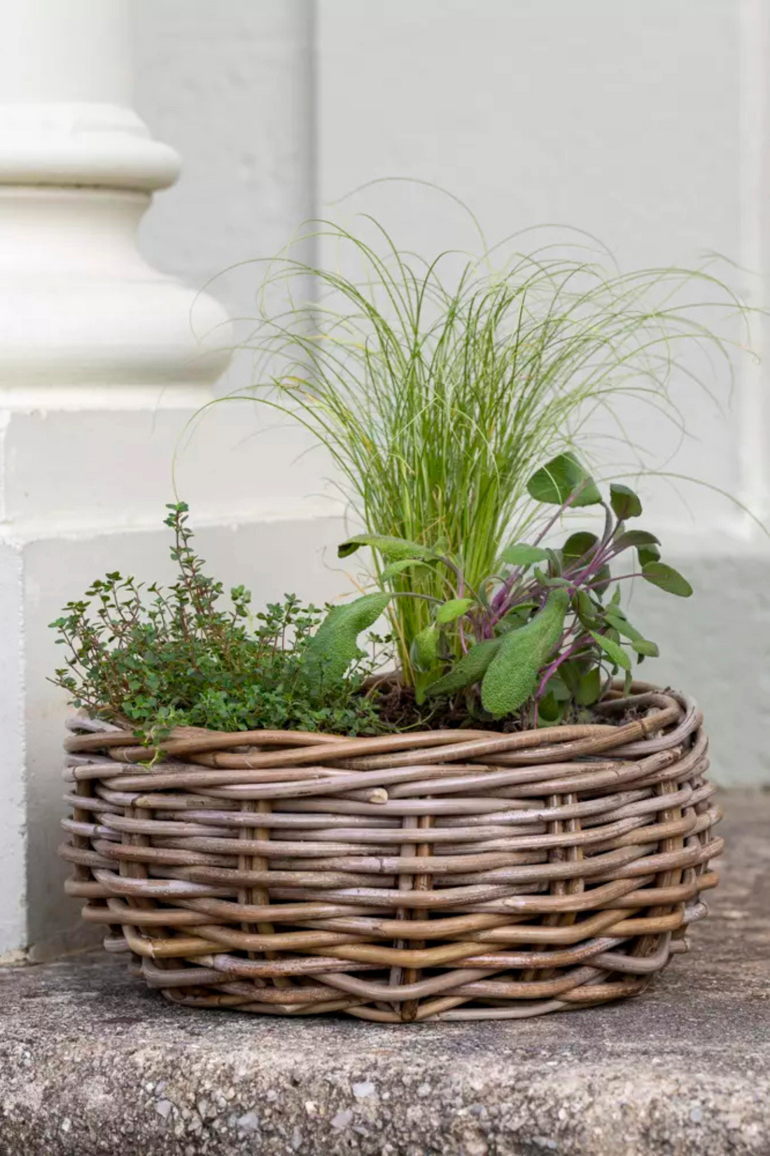 Woven rattan planter for garden with plastic inner filled with lush green plants