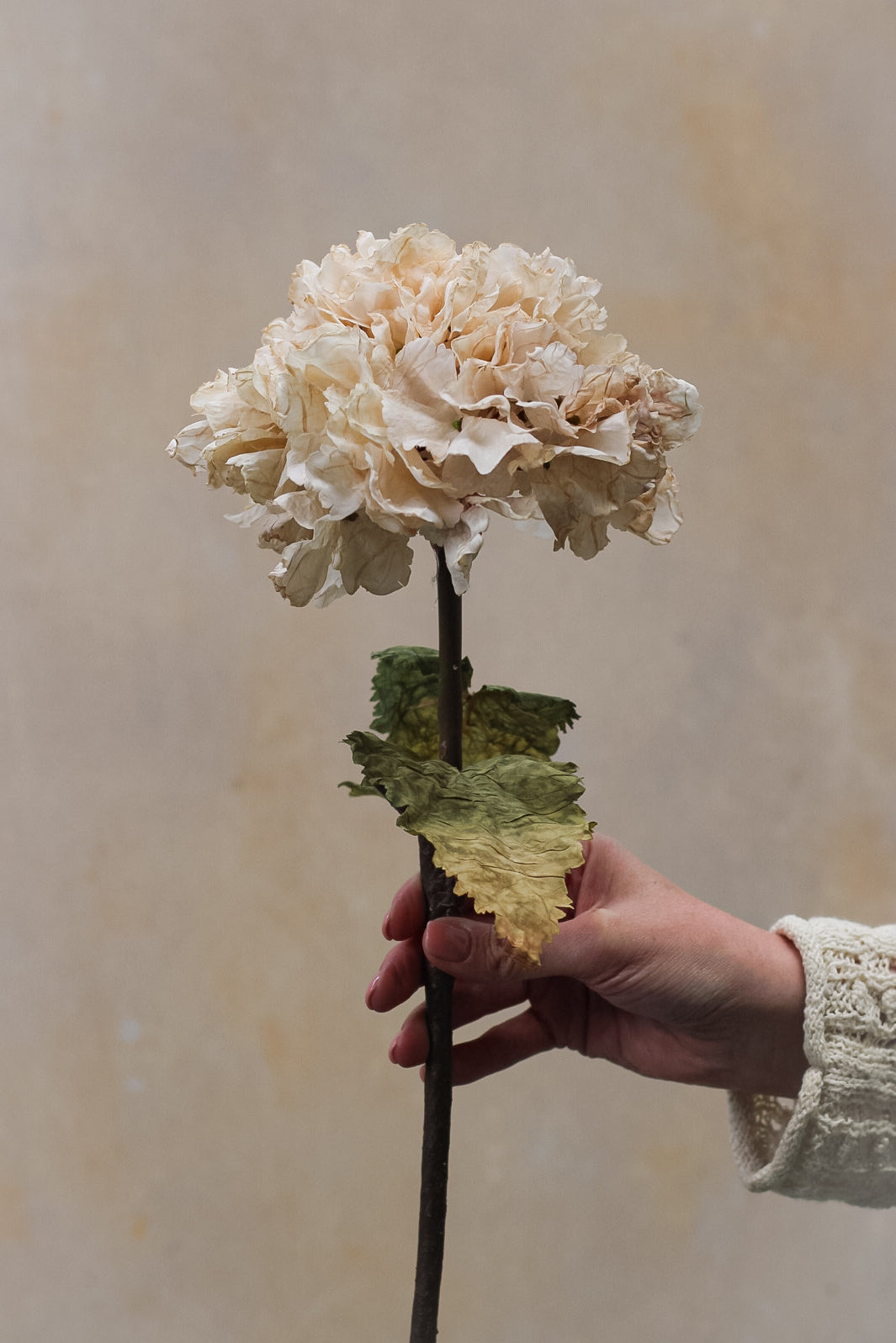 dried nude hydrangea faux flowers