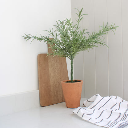 Tall French lavender tree in terracotta pot, with wooden chopping board behind and strip tea towel