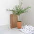 Tall French lavender tree in terracotta pot, with wooden chopping board behind and strip tea towel