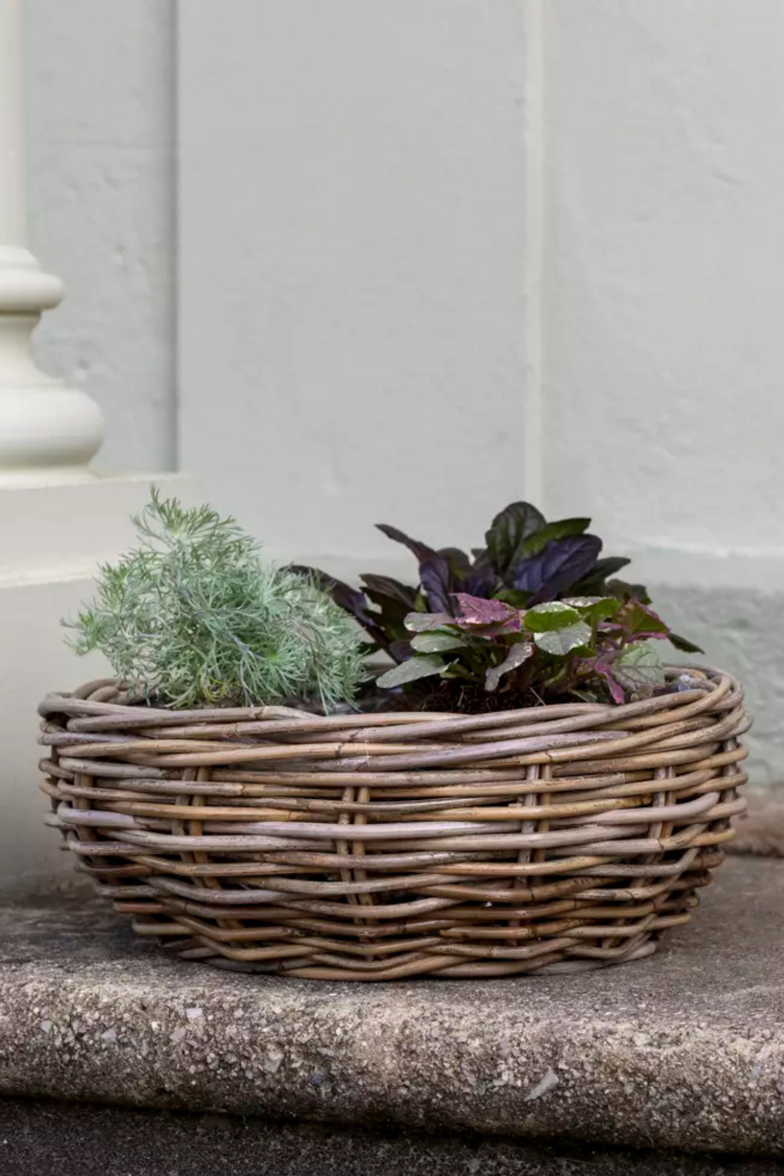 large woven rattan planter filled with spring green lush planters