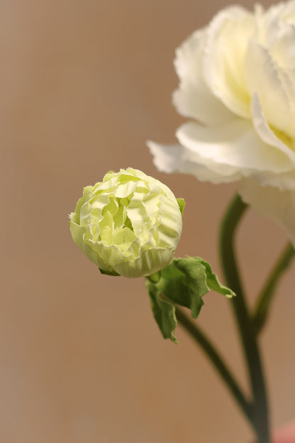 up close of faux ranunculus bud stem