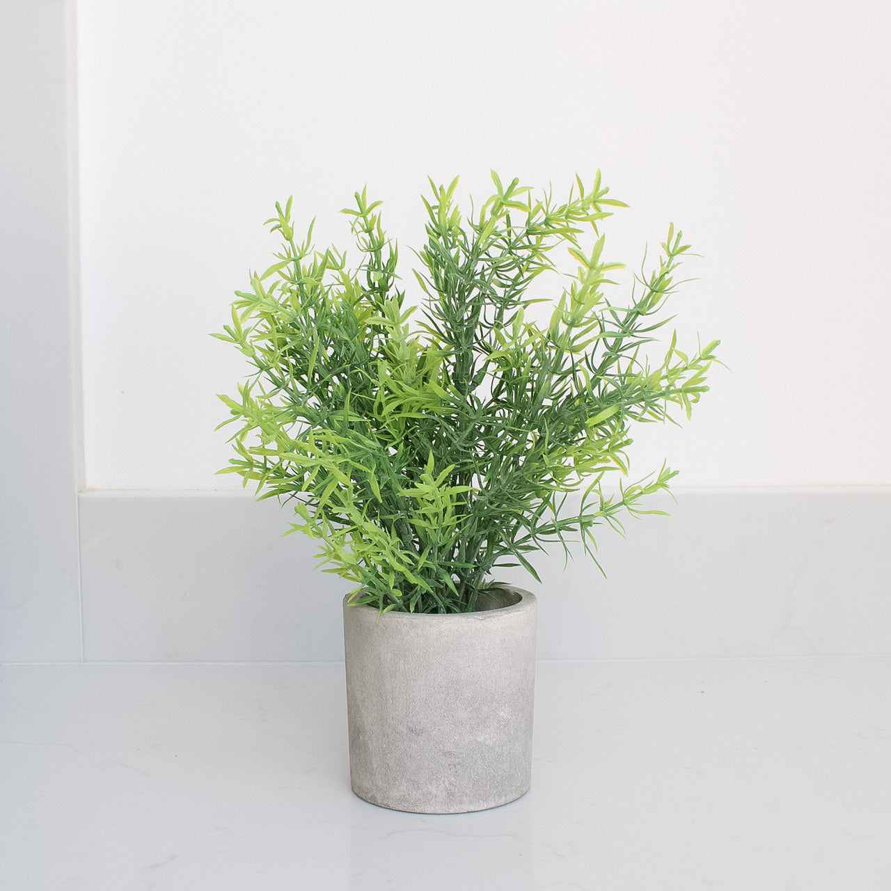 Rosemary in Stone Effect Pot